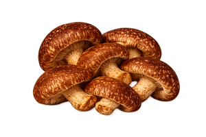 MUSHROOM BLEND