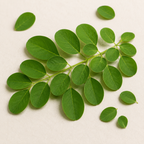 tropical-organic-moringa-powder