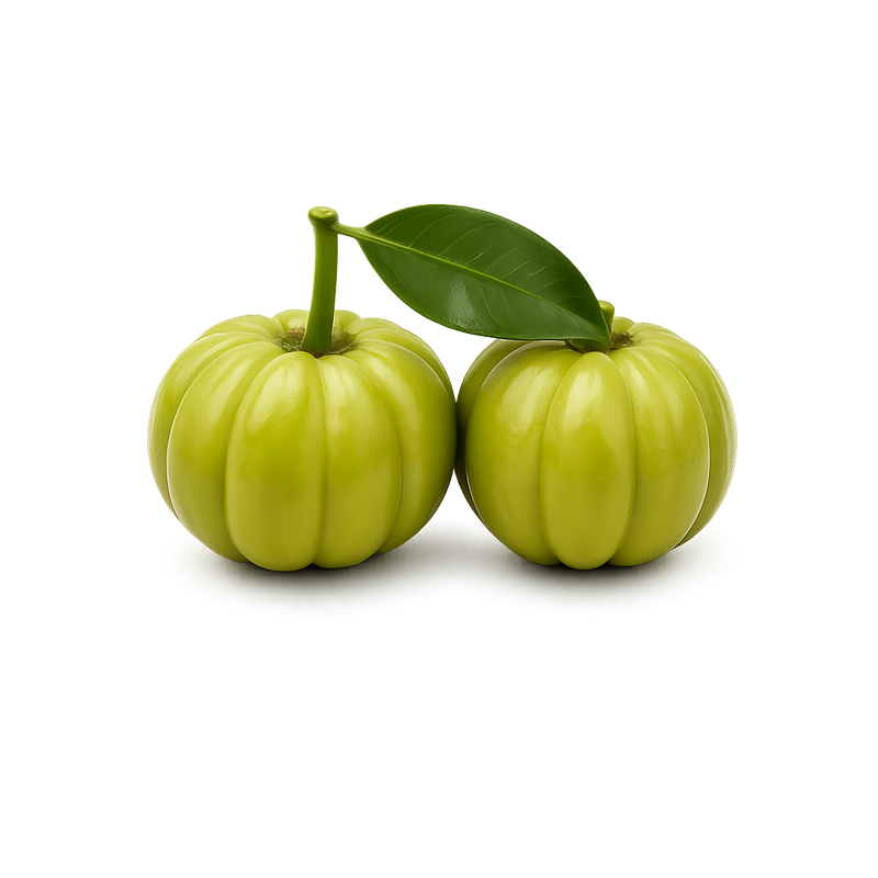 Garcinia Cambogia